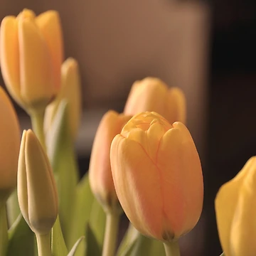 Artwork thumbnail, Springtime!!! by MarieG