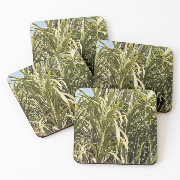Item preview, Leaves of Sugarcane, Saccharum officinarum designed and sold by Zosimus.