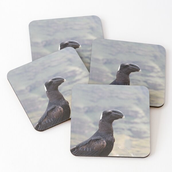 Item preview, Portrait of a thick billed raven, Corvus crassirostris, in the Simien Mountains designed and sold by Zosimus.