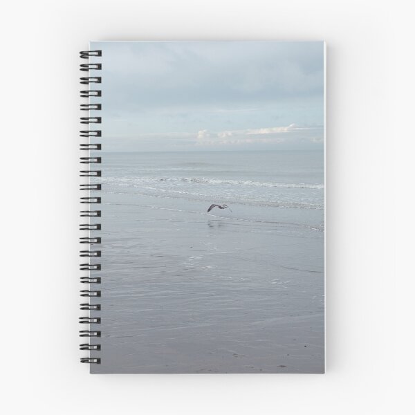 Item preview, Seagulls on the beach of Ostend, Belgium designed and sold by Cedric Urbany.
