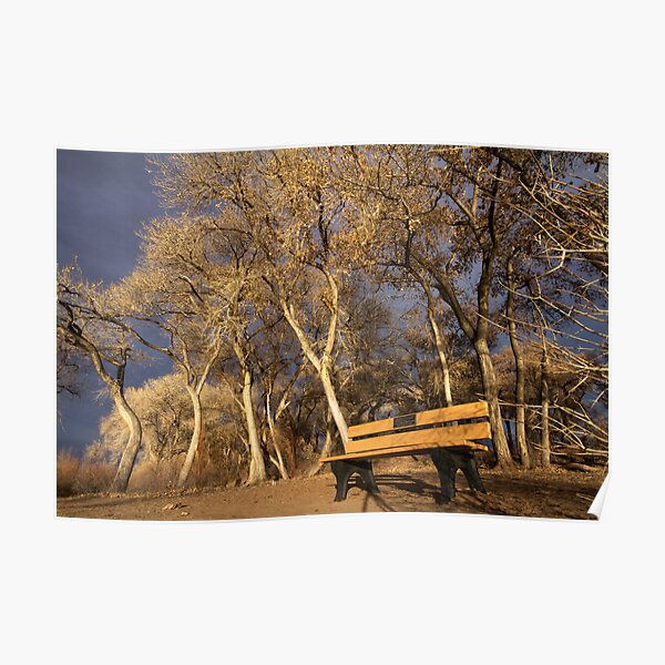 The Bench Poster