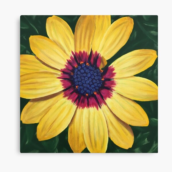 Blue-Eye African Daisy Canvas Print
