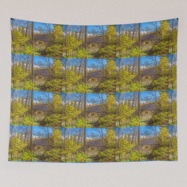 Item preview, USA. Connecticut. Kent. Bulls Covered Bridge. designed and sold by vadim19.