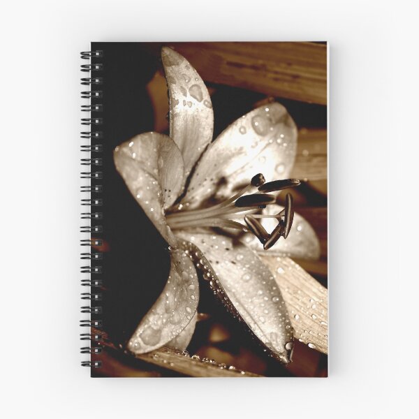 Item preview, BRONZED - 2 designed and sold by Linda Bianic.