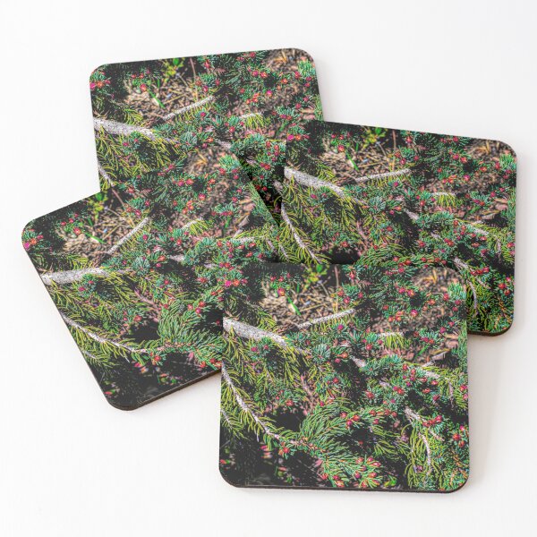 Item preview, Evergreen. designed and sold by CanadianWild418.