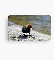 Where's My Mum Canvas Print