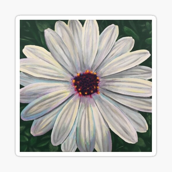 White African Daisy Sticker