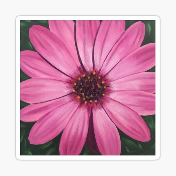 Pop Pink Daisy Flower Sticker