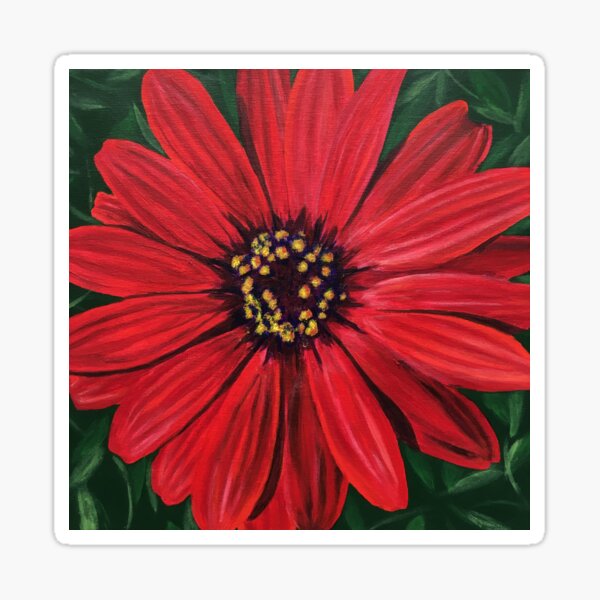 Red African Daisy Flower Sticker