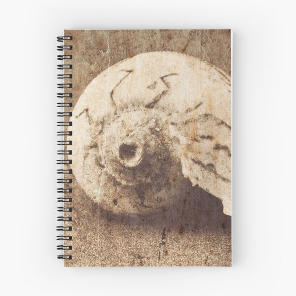 Item preview, Sea Shell designed and sold by Maria Heyens.