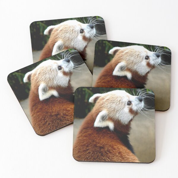 Item preview, Pondering Life designed and sold by NatureRaven.