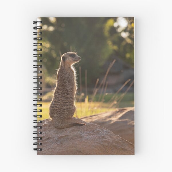 Item preview, Meerkat designed and sold by Bevlyn.