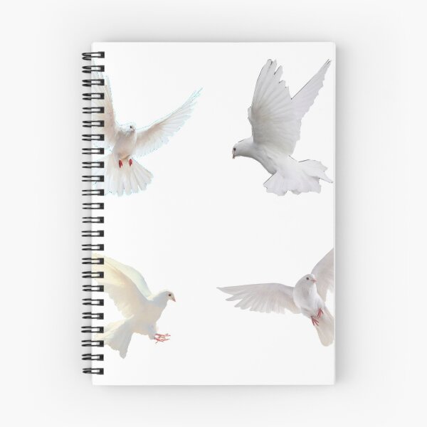 Item preview, white doves designed and sold by tillysxox.