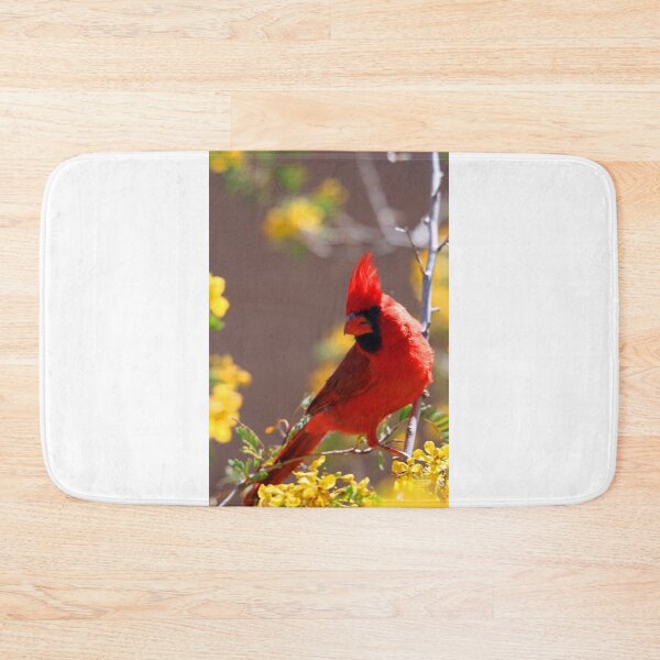 Item preview, Cardinal in the Desert designed and sold by RichImage.