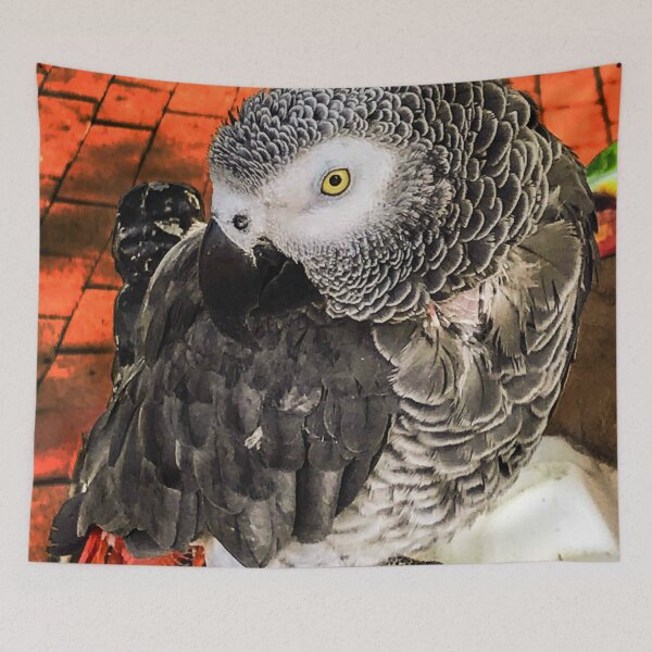Item preview, Southwest Phinias P Parrot designed and sold by William E Lopez.