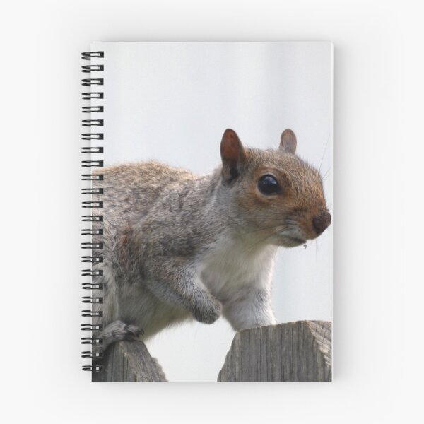 Item preview, A Squirrel in Laurel designed and sold by Kimmary.