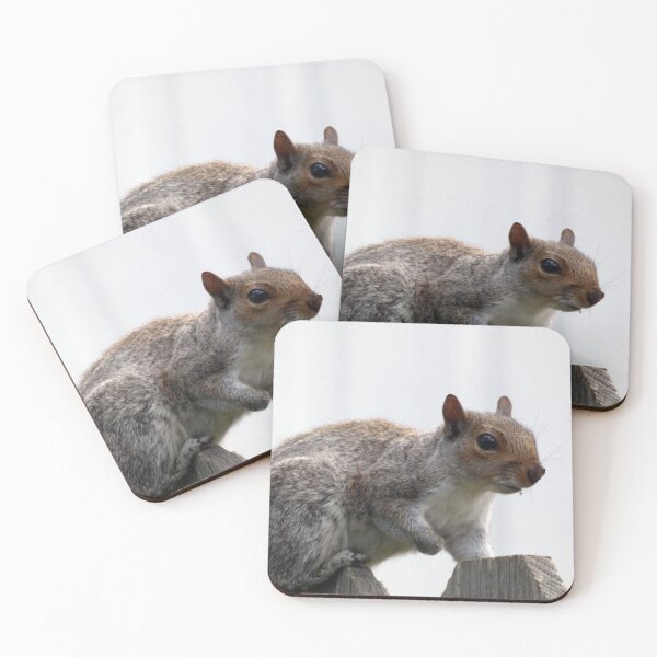 Item preview, A Squirrel in Laurel designed and sold by Kimmary.