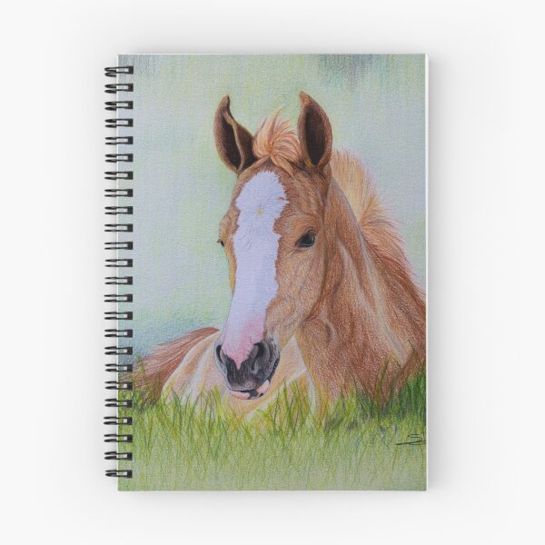 Item preview, "Young Flame" - Criollo colt designed and sold by SD 2016 Photography & Art Creations.