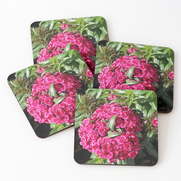 Item preview, Vibrant Pink Flowers designed and sold by SunriseRose.