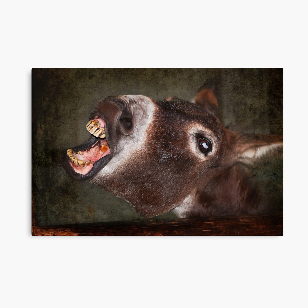 Quit Smoking! or have teeth like mine Canvas Print