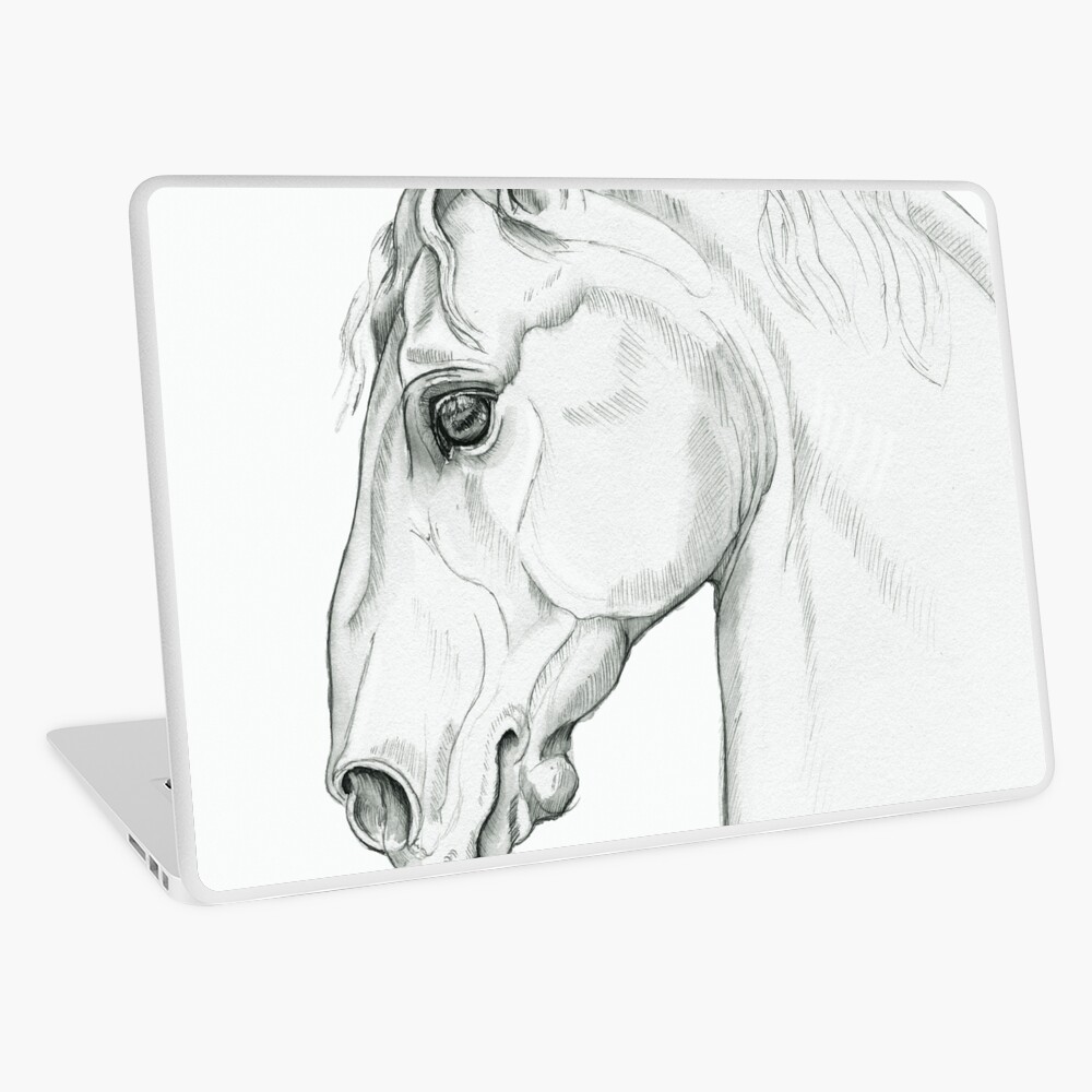 Baroque — Lippizaner Horse Head Study Laptop Skin