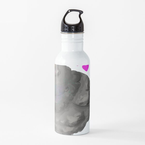 pigeon water bottle steel