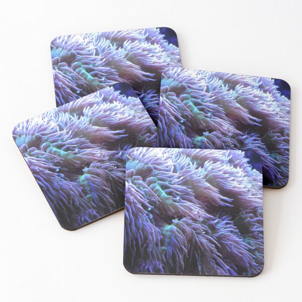 Item preview, Gentle Sea Anemone designed and sold by Kimmary.