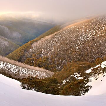 Artwork thumbnail, Foggy Dawn, Mt Hotham, Australia by Michael Boniwell