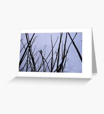 Twigs against a dull sky Greeting Card