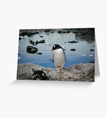 Penguins Greeting Card