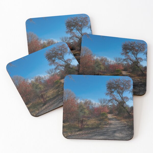 Item preview, The Bike Path designed and sold by Len Bomba.