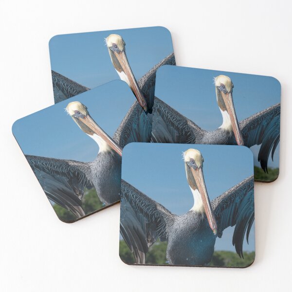 Item preview, Pelican Pose designed and sold by barkeypf.