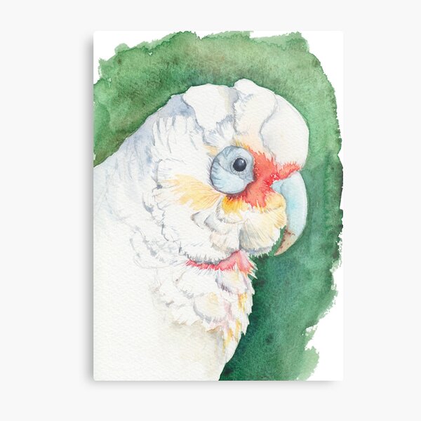 Long Billed Corella (Cockatoo) watercolour painting of Australian bird Metal Print