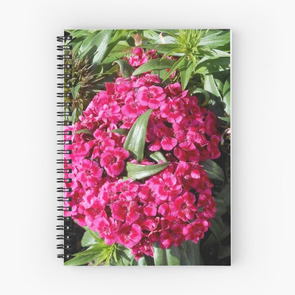 Item preview, Vibrant Pink Flowers designed and sold by SunriseRose.