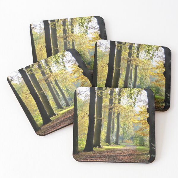 Item preview, Walking in November sunshine designed and sold by jchanders.