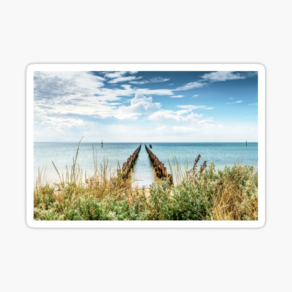 From sandy shores to bright blue sky Sticker