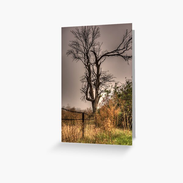 Aussie Bush Greeting Card