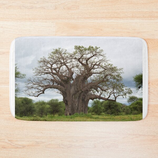 Item preview, Baobab (Adansonia digitata) Tree designed and sold by Yair Karelic.