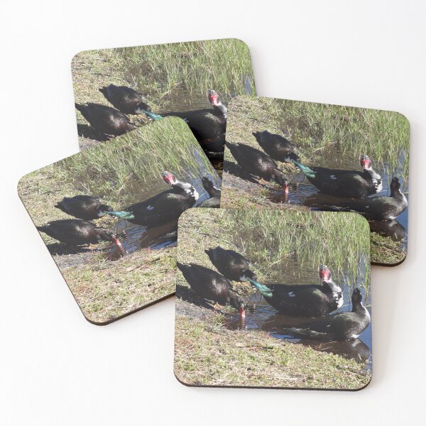 Item preview, Muscovy Ducks 2 by Orikall designed and sold by HippieWorks.