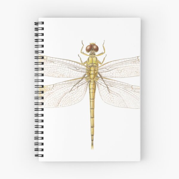 Item preview, Dragonfly designed and sold by Cheryl Hodges.