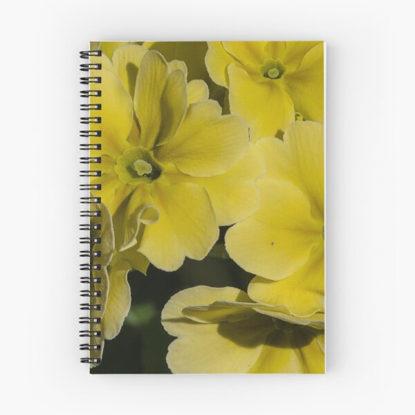 Item preview, Yellow flowers Leith Park Australia 20150904 0266   designed and sold by Fred Mitchell.