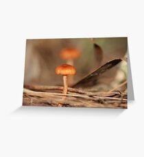 Tom Thumb Greeting Card