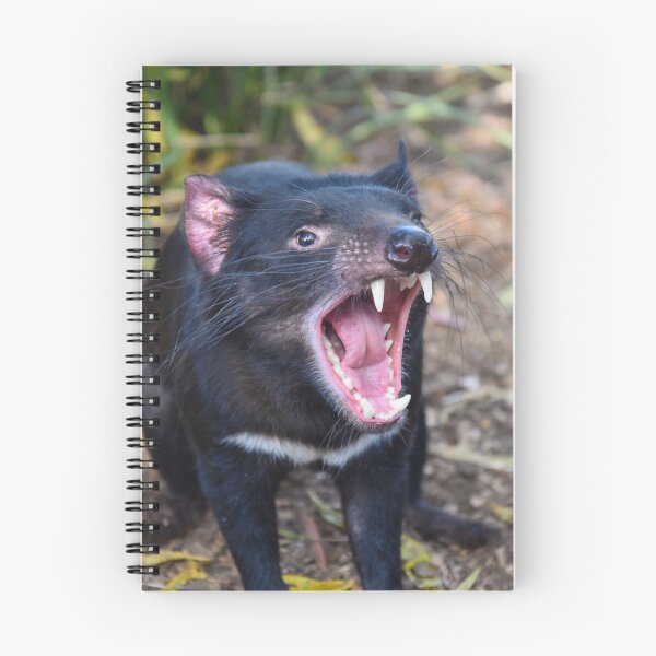 Item preview, Tasmanian Devil designed and sold by pauldfleming.