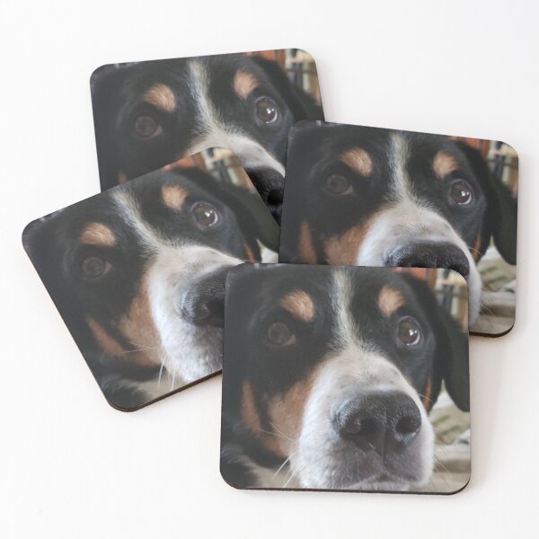 Item preview, Bravo designed and sold by Kim Taylor.