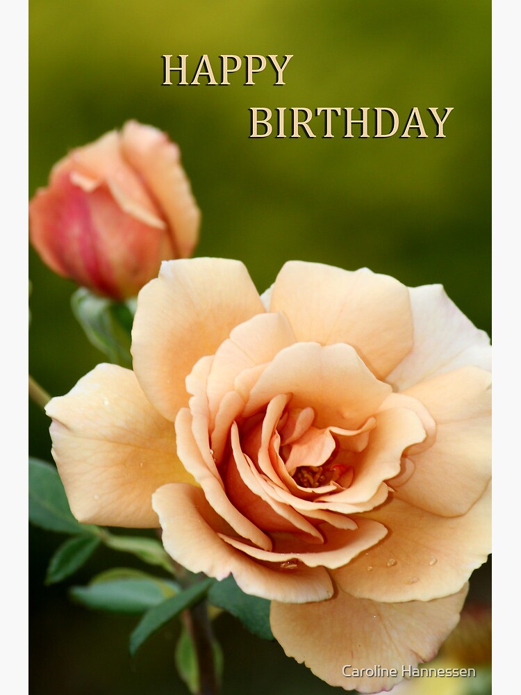 Carte De Vœux Joyeux Anniversaire Rose Par Minnes Redbubble