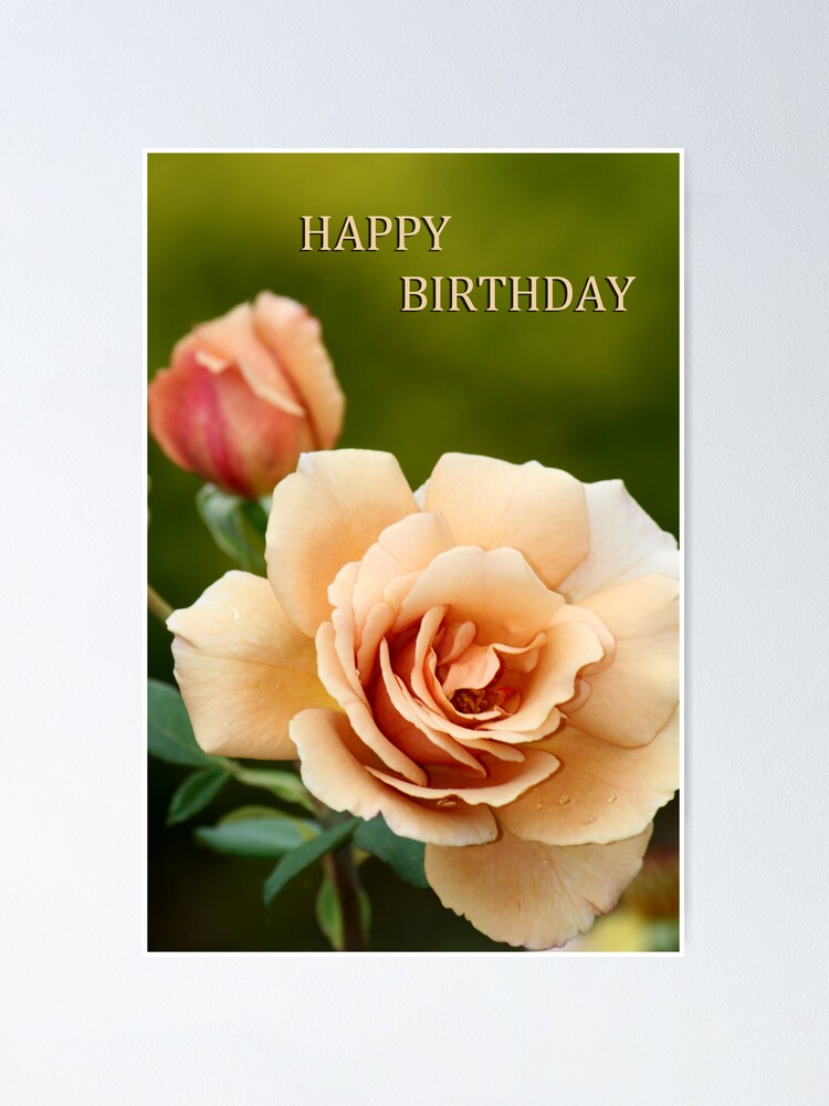 Happy Birthday Rose Poster By Minnes Redbubble