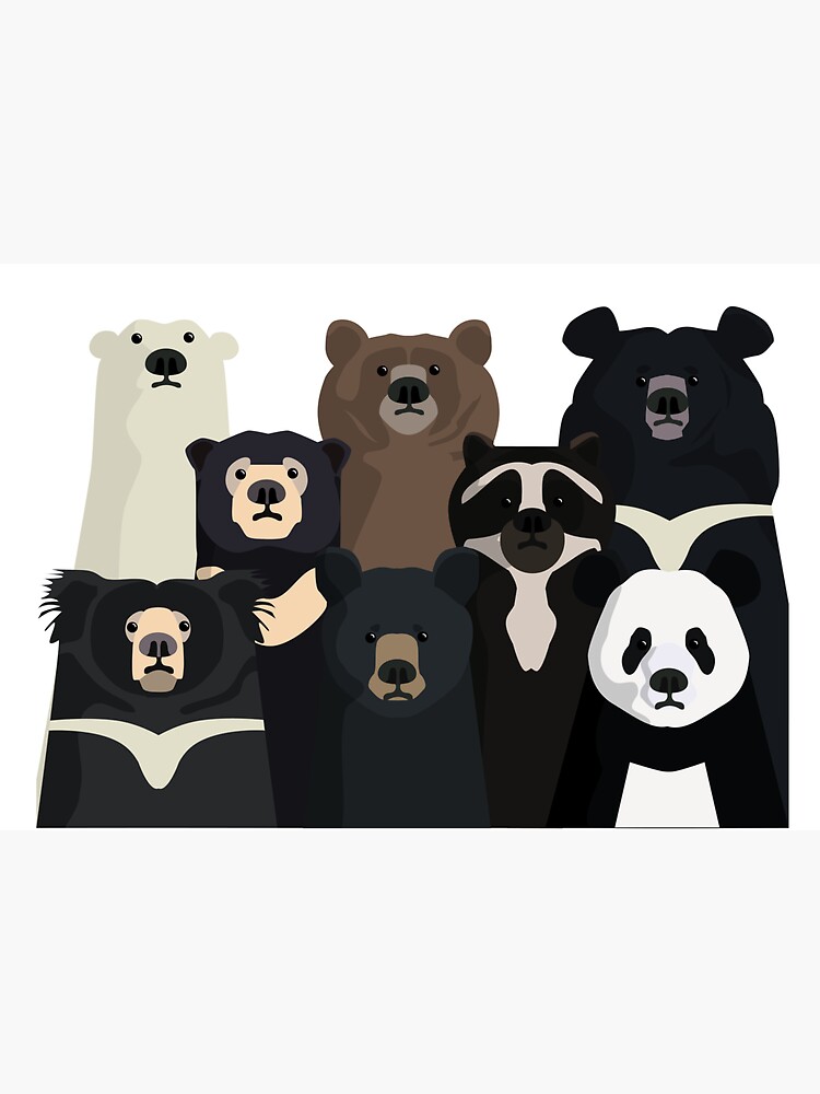 Bears of the world by ZolinStudio