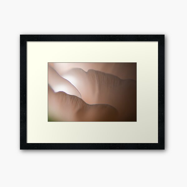 Petals Framed Art Print