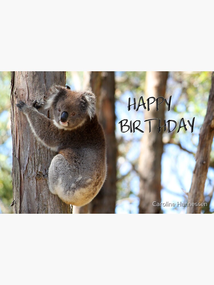 Carte De Vœux Joyeux Anniversaire Koala Par Minnes Redbubble