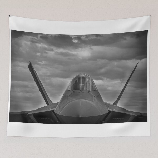 Item preview, Stare of the Raptor designed and sold by marty1468.